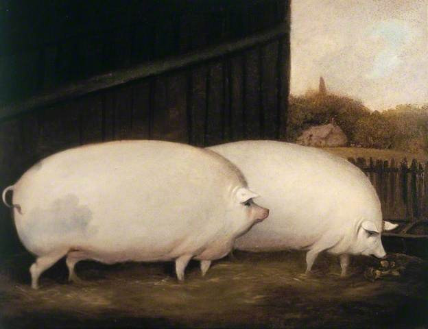 A Pair of Pigs (British School) (c) Compton Verney; Supplied by The Public Catalogue Foundation