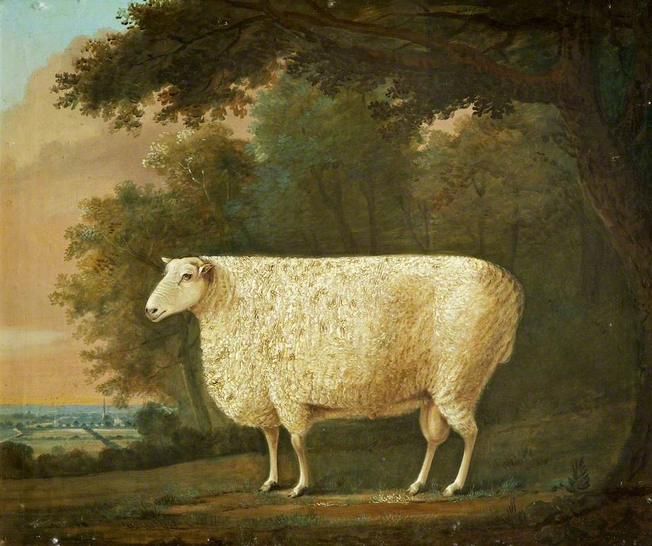 J. Digby-Curtis, Robert Bakewell's 'Two Pounder' (1790) Credit: Royal Agricultural University Collection